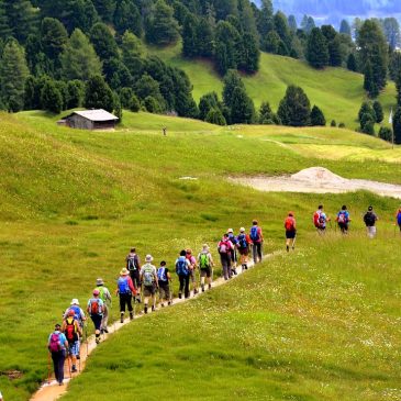 MARATON PIESZY 110 KRAKÓW-ZAKOPANE 2025